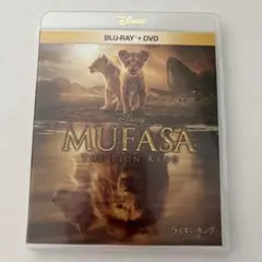 Item thumbnail for item aa856ec5-3565-434c-9e2b-f3d8761f2cf4