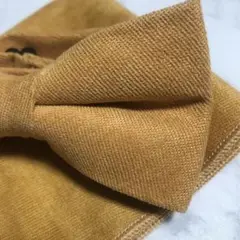 Item thumbnail for item 3e72cf01-94c6-40d1-8f81-52e474328464