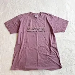 【希少】プリトヴィツェ湖群国立公園 デザインTシャツ パープル メンズM