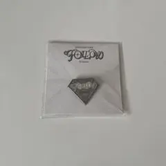 SEVENTEEN follow ピンバッジ 埼玉、福岡 セブチSEVENTEEN FOLLOW TO JAPAN 福岡 ピンバッジ