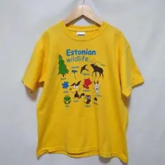 【匿名配送】子供用 半袖Tシャツ サイズ130
