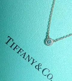 未使用!TIFFANYu0026Co. アクアマリン バイザヤード ネックレス T254