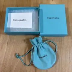 Tiffany & Co. アクセサリーケース ボックス付き