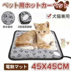 Item thumbnail for item a9c28761-1ddc-4d4e-9450-1d8fb8b73525