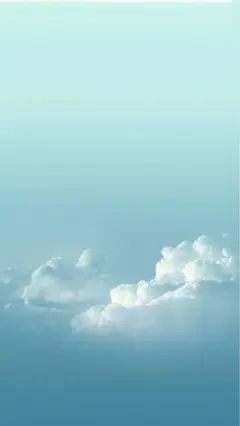 デヴァローゴルフ　レギュラーソックス