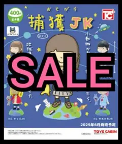 【新品未開封】おてがら捕獲JK 全4種セット
