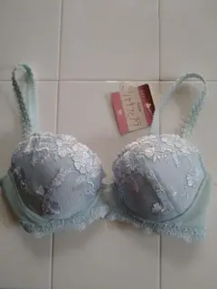 Item thumbnail for item d9137ff2-0eb7-4826-9bbe-563b236fe4ee