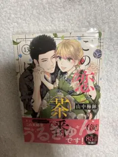この恋、茶番につき⁉︎ 13