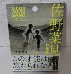 佐野菜見作品集