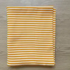 スパンテレコ40　黄色43w×100