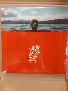 GRAPEVINE あのみちから遠くはなれて LP