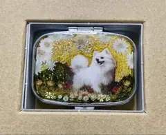 ハンドメイドピルケース(庭駆け回るポメラニアン)