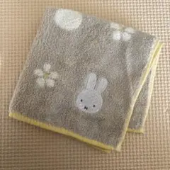 Item thumbnail for item 82dd3753-0257-45cb-be3e-7684150b5d50