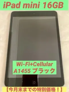 iPad mini Wi-Fi+Cellular 16GB ブラック A1455