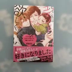 霧嶋珠生「パパ（仮）はコマンドなんて欲しくない２巻