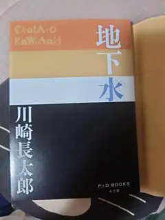 地下水 川崎長太郎　 P+D BOOKS