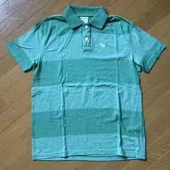 abercrombie ポロシャツ　グリーン　緑　キッズ　レディース