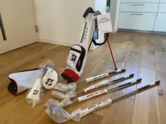 Item thumbnail for item 3bbc2fa6-d48c-4ea7-b50f-e06271911111