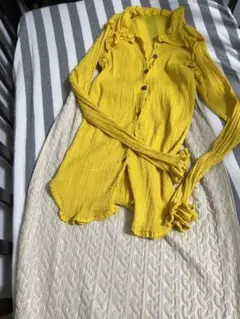 ブラウス シースルークレープ イッセイミヤケ 廃盤シャツ