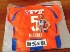 アルビレックス新潟 マッチデークッション # 5