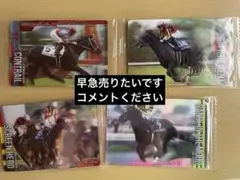 サラブレッドホースコレクション