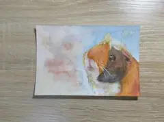 モルモット オリジナル手描き水彩画 ポストカード