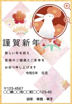 年賀ハガキ 差出人印刷無料 10枚の価格(枚数変更可能)