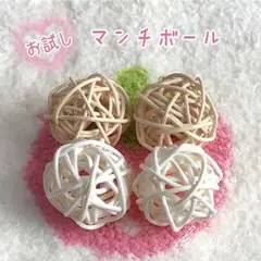 《☘️無着色》鳥 おもちゃ お試し マンチボール (2色4個セット)