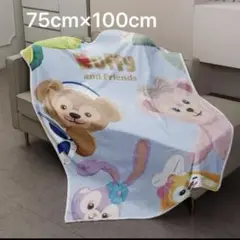 ダッフィー＆フレンズ 毛布 ブランケット Disney ディズニー 値下げ不可