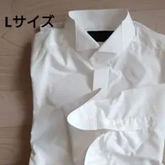 Item thumbnail for item 72c7d2d0-8093-4829-a271-4077a1ceb854