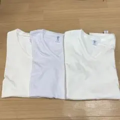 訳あり品！VELVASHEEN ベルバシーンVネック Tシャツ3点セットM