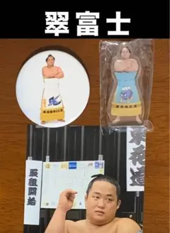 大相撲 ★ 翠富士 ★ アクリルスタンド & 缶バッジ ★ おまけ付き