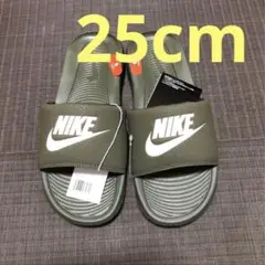 Item thumbnail for item aa532988-9bfd-4052-9875-92527dd1f689