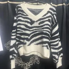 【GRL】グレイル ゼブラ柄ボリューム袖ニットトップス