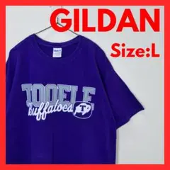 【美品】古着　カレッジロゴ　Tシャツ　パープル　メンズ　L