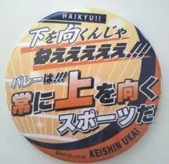 ハイキュー!!缶バッジ 鵜飼監督名言