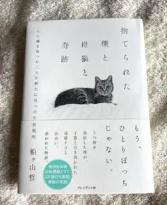 捨てられた僕と母猫と奇跡 : 心に傷を負った二人が新たに見つけた居場所