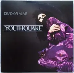 USオリジナル盤 ユーロビート DEAD OR ALIVE Youthquake
