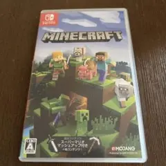 マインクラフト　switch