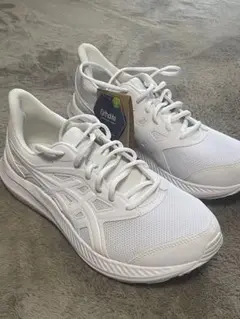 Item thumbnail for item 1c36290d-ce4c-495a-9cda-e70a521f6a90