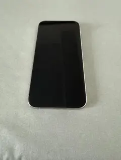 iPhone13proMax 256GB