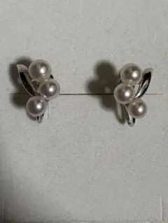 Item thumbnail for item 6edcdb12-e95d-46e0-a700-305262027881