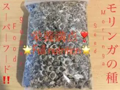 【限定価格】モリンガの種 100粒