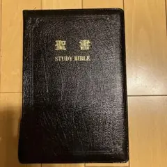 口語訳聖書　スタディバイブル　金縁　値下げ