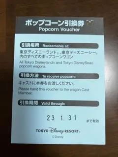 東京ディズニーリゾート ディズニー ポップコーン引換券