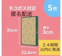Item thumbnail for item 8a37c4c5-e442-4840-a843-7707401d59a8
