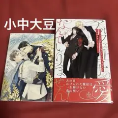 BL小説 小中大豆「ラスト・メッセージ ～結婚生活をはじめから～」他