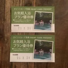 るり渓温泉 お気軽入浴プラン優待券 2枚