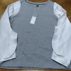 Item thumbnail for item 5273250e-6684-45a2-a4dc-36f6fb1bf90a