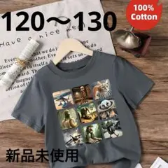 『新品未使用』イタリアンブレインロットTシャツ グレー 100%コットン